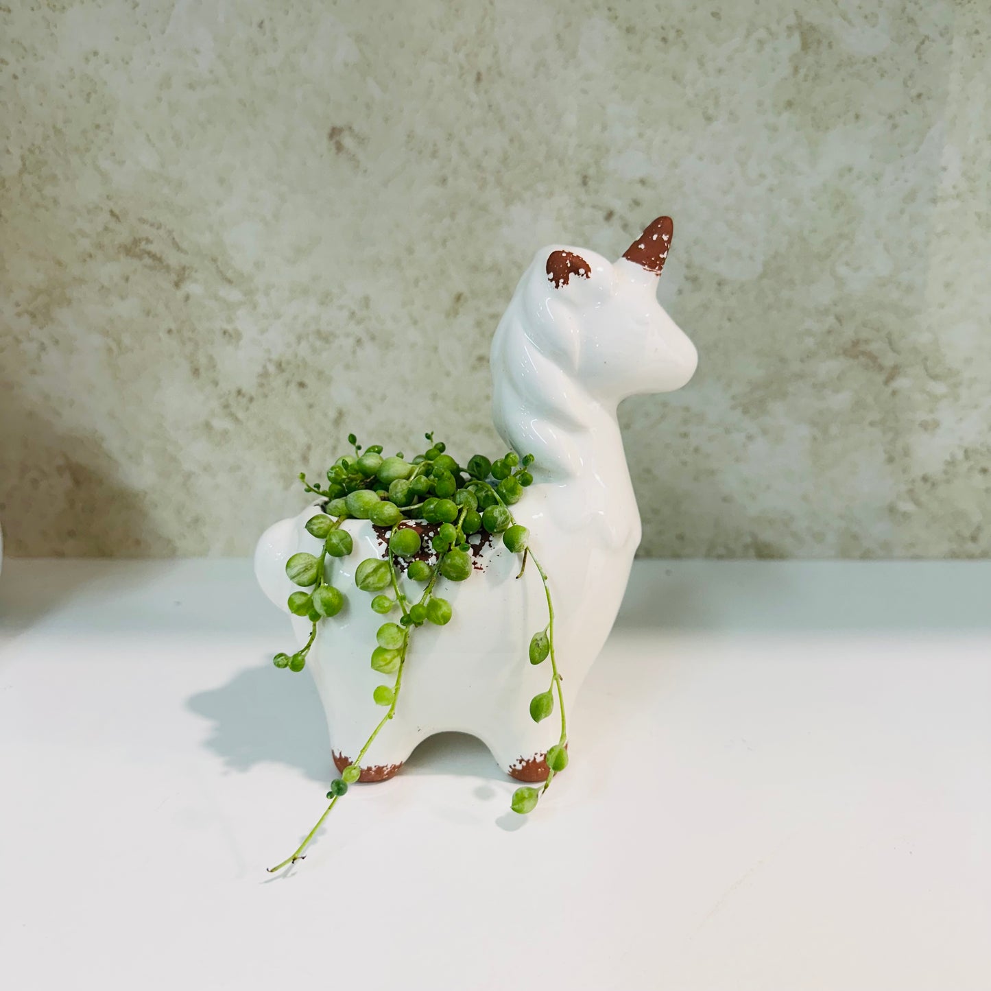 String of Pearls in Ceramic Unicorn Llama Pot