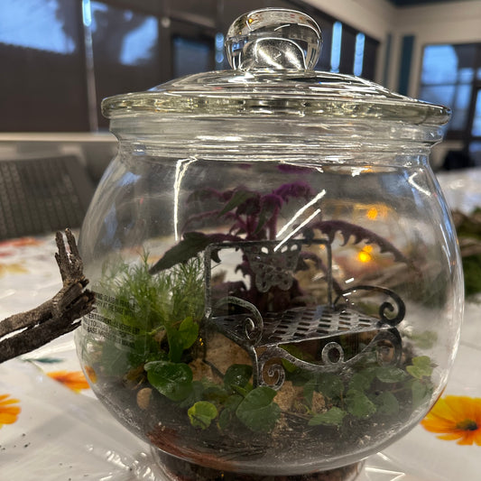 Centerpiece Terrariums Assorted