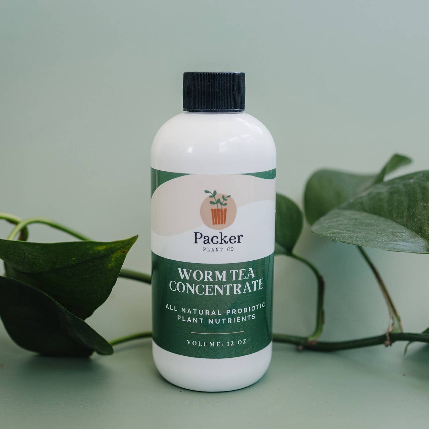 Worm Tea Concentrate | Natural Plant Fertilizer