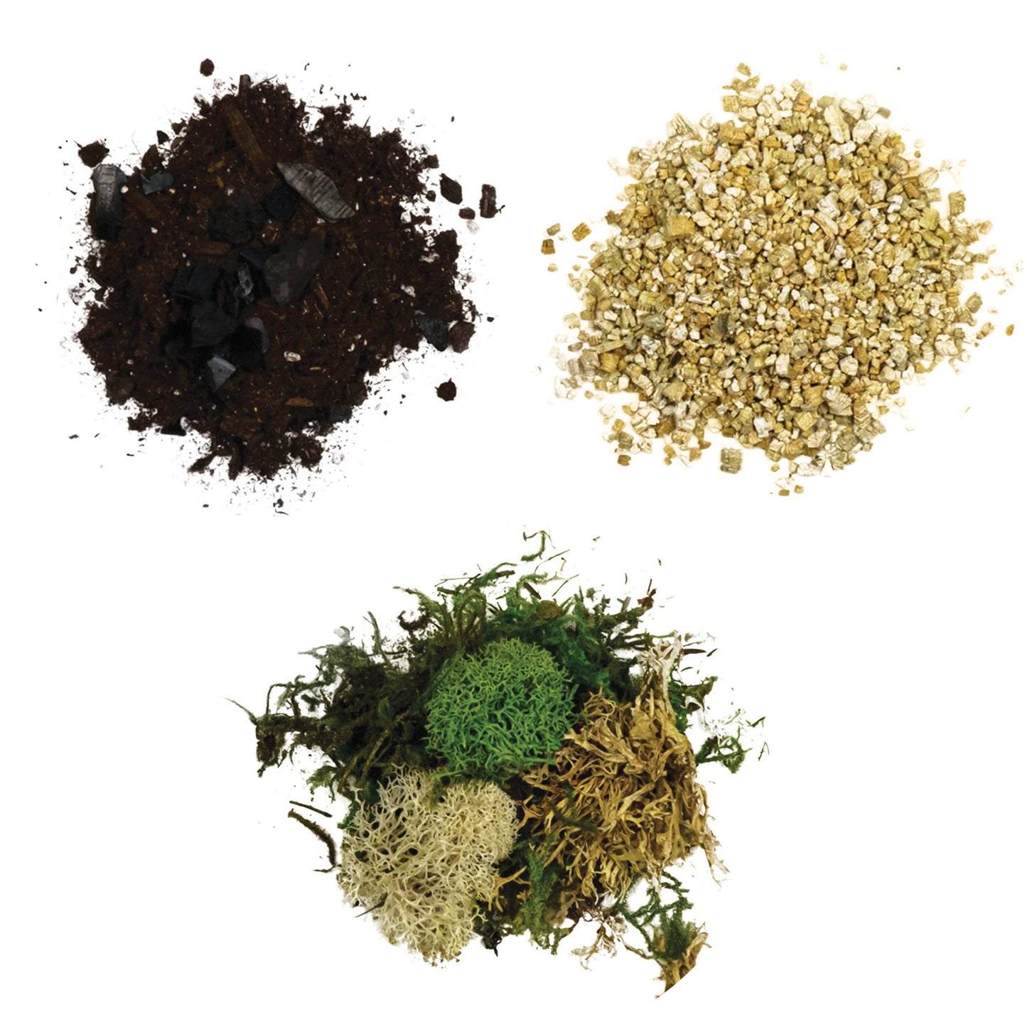 Round & Teardrop Terrarium Kit