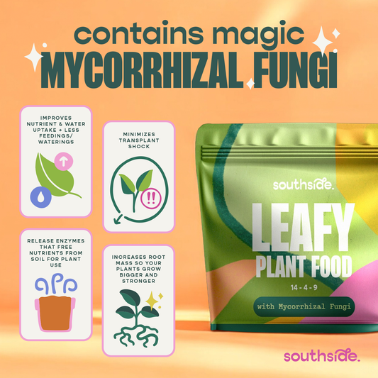 Leafy Plant Food - Complete Gentle Nutrition + Mycorrhizae