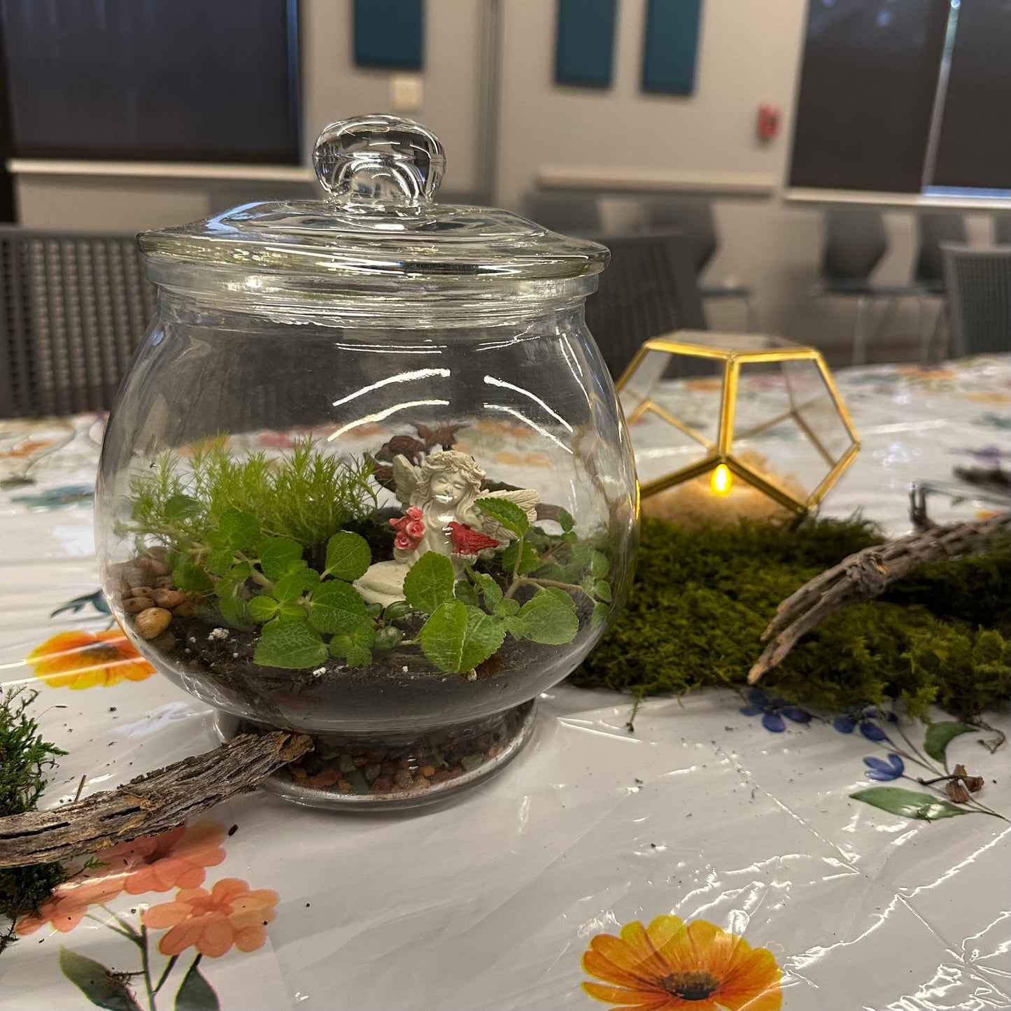Centerpiece Terrariums Assorted