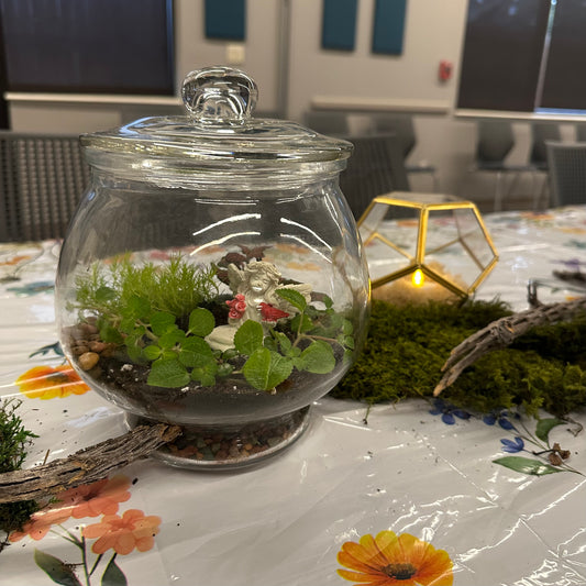 Centerpiece Terrariums Assorted