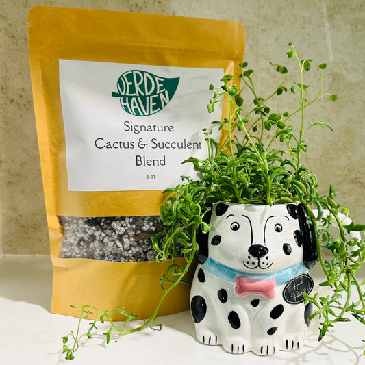Verde Haven Signature Cactus and Succulent Blend
