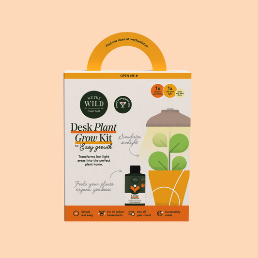 We the Wild Desk Plant Grow Kit