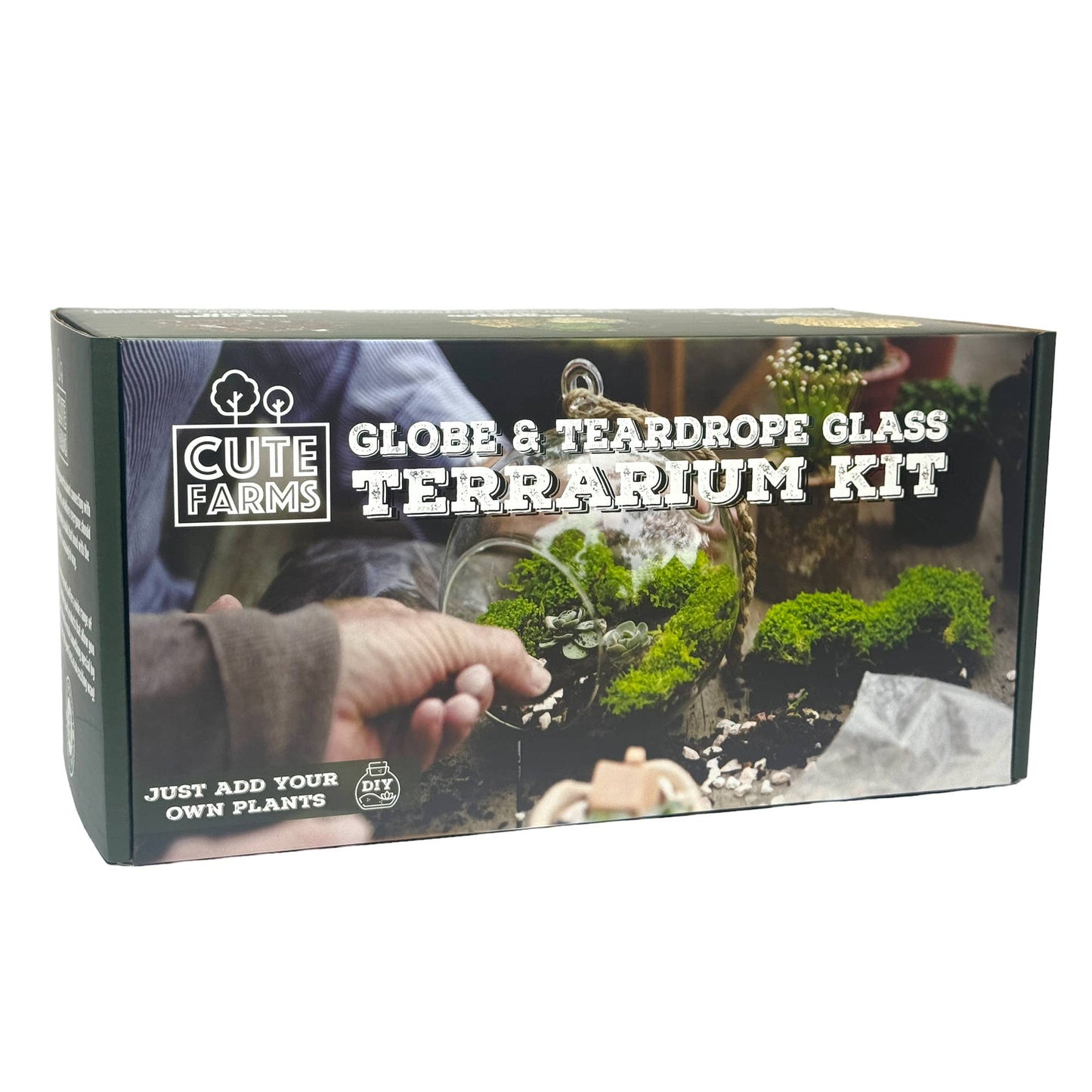 Round & Teardrop Terrarium Kit