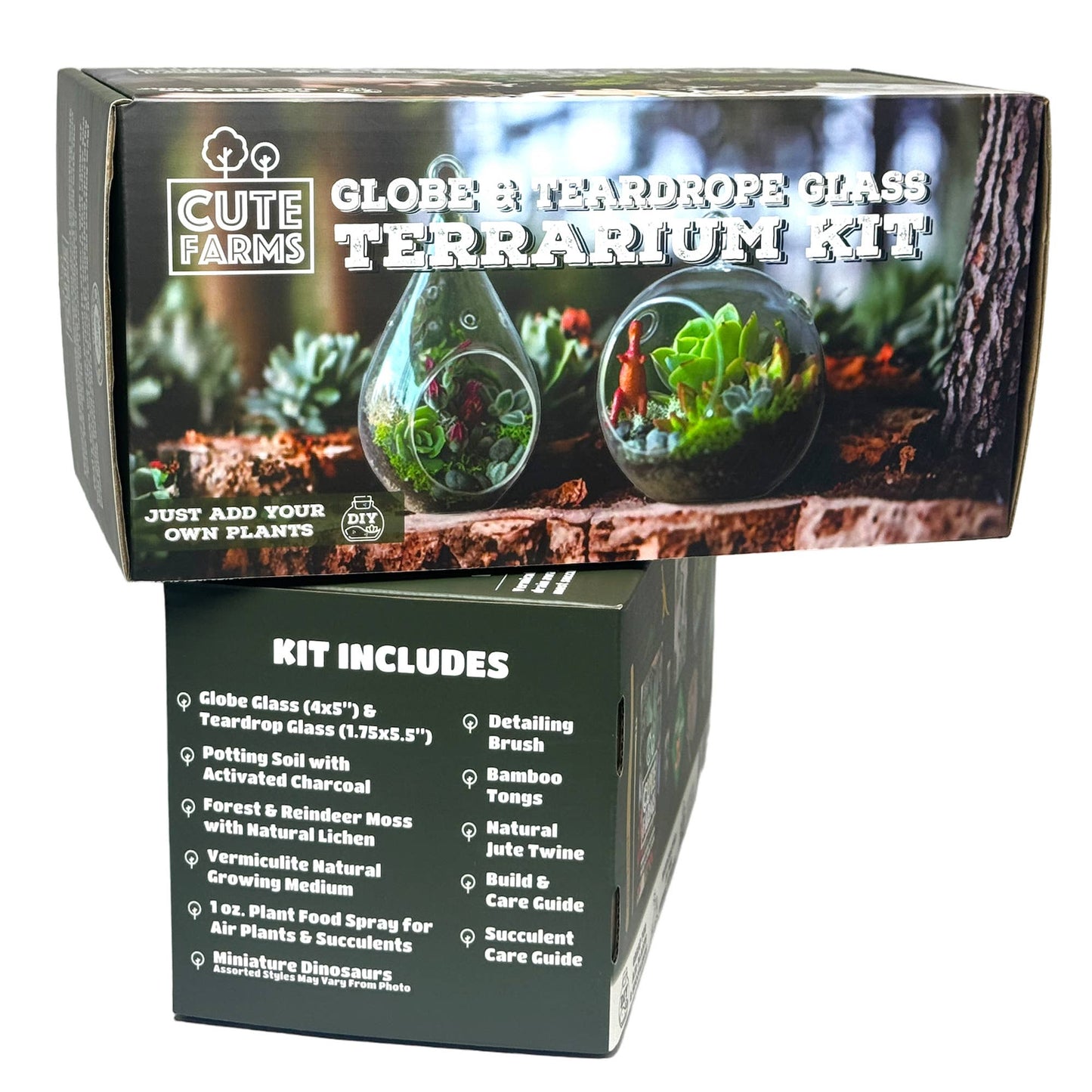 Round & Teardrop Terrarium Kit