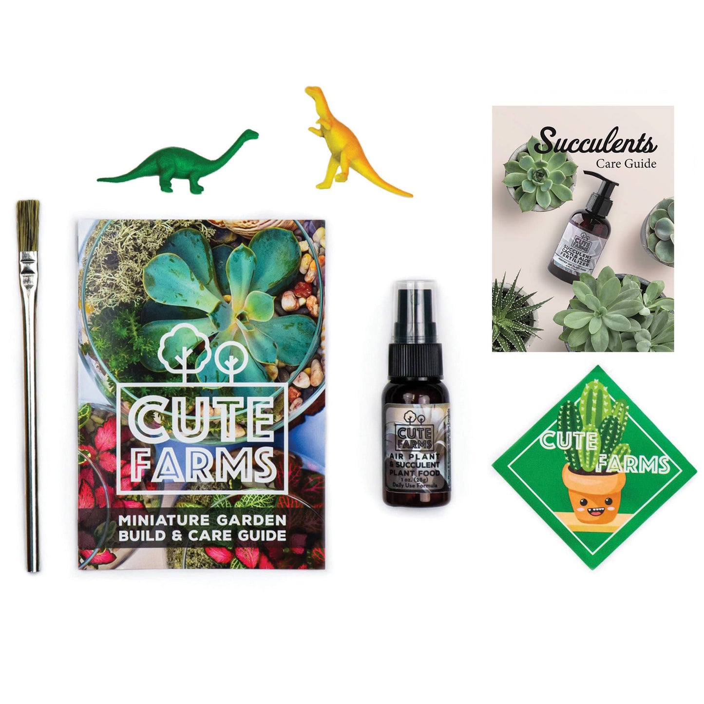 Round & Teardrop Terrarium Kit