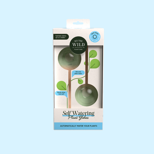 We the Wild - Self-Watering Plant Globes - Case of 6