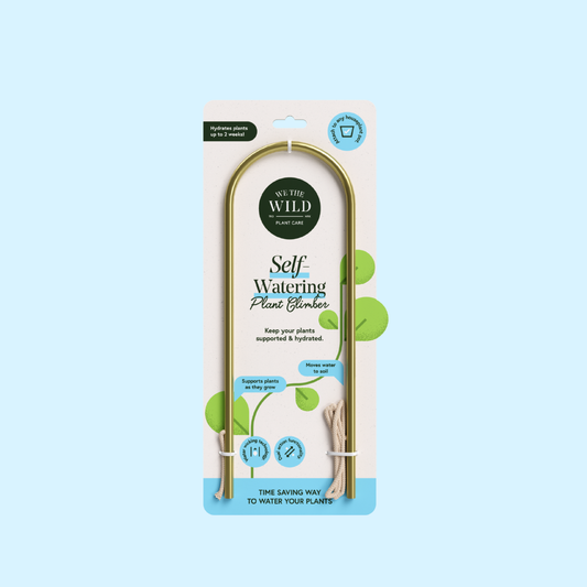 We the Wild - Self-Watering Plant Climber - Case of 6